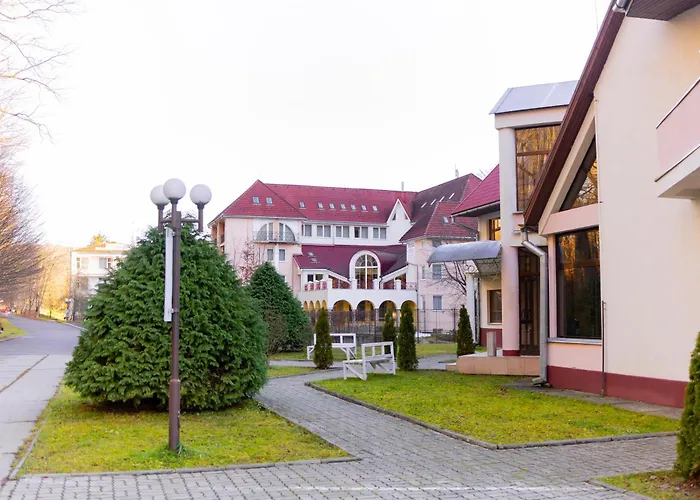 Hotel Ruta Polyana (Transcarpathia)